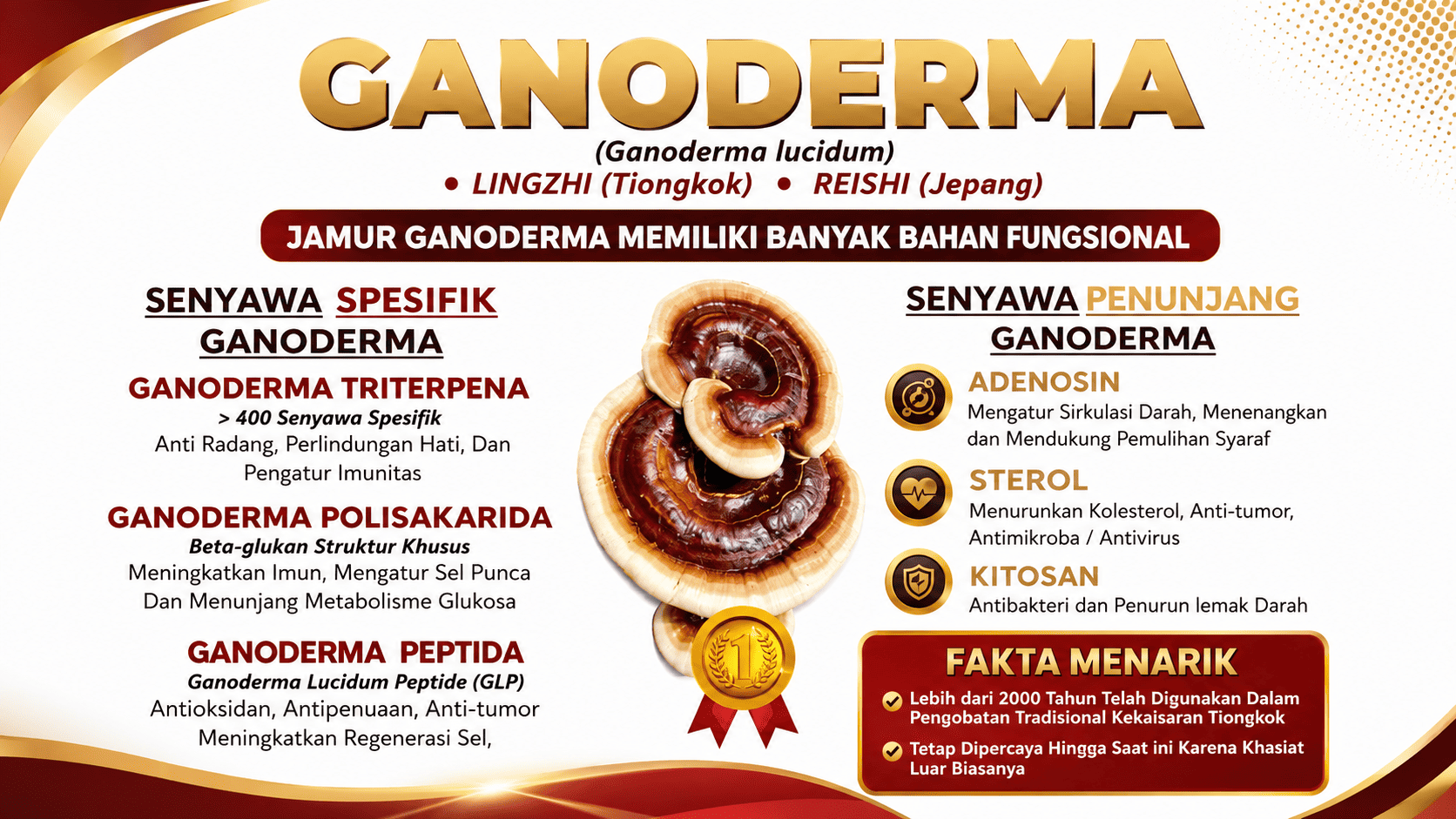 Khasiat Kandungan Ganoderma Jamur Lingzhi