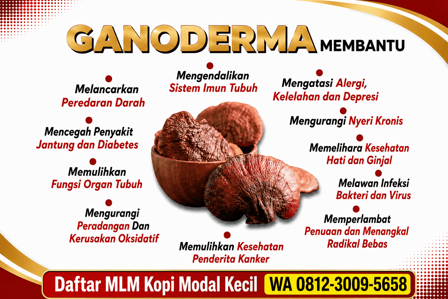 Daftar Bisnis MLM Kopi Ganoderma Modal Kecil Juwara Cafe Surabaya